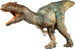 アロサウルス（全長6.4ｍ）