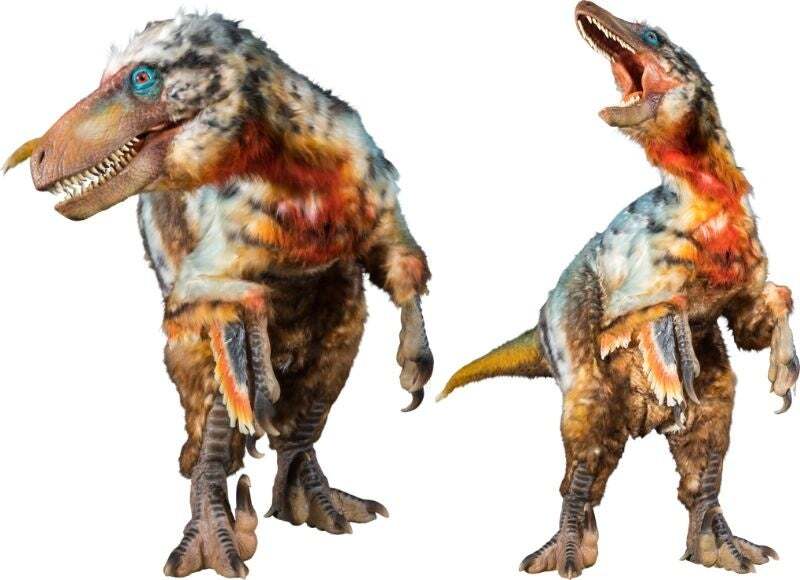 ユタラプトル　2頭登場！（全長4.8ｍ）