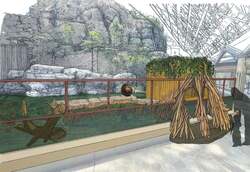 「アメリカビーバーの新展示がシーパラで開始！仲良し夫婦のダム作りを間近で観察できる」の写真