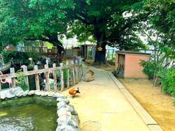 アクアミュージアム４F LABO１１　フォレストリウム　森のこみち