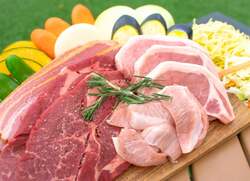 「手ぶらBBQで春のお花見！風車と花々に包まれる非日常のアウトドア体験　柏あけぼの山」の写真