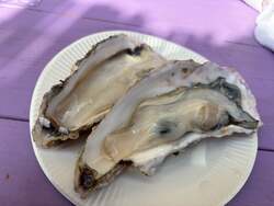 「牡蠣まつり×あったかグルメ！泉南ロングパークで冬の味覚を食い尽くす限定フェス開催」の写真