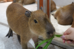 「最大1,800円お得！東京ドームシティで遊び放題の「午後からの春割」が期間限定で登場」の写真