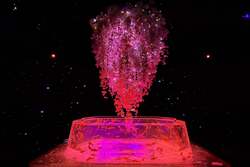 「金魚×満開の桜が幻想的！銀座三越で春の没入体験　小学生以下は大人1名につき2名無料」の写真