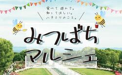 みつばちマルシェ