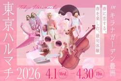 「約2万球の桜色イルミとシャボン玉！　春のキラナガーデン豊洲で入場無料イベント続々」の写真