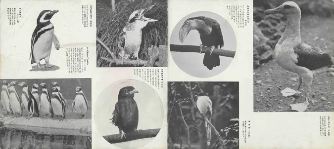 TOKYO PENGUIN LIBRARY