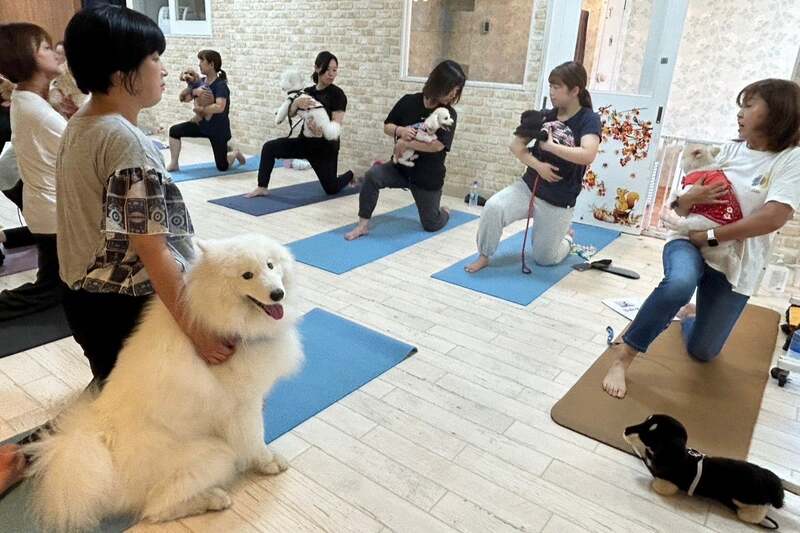 DOGYOGA