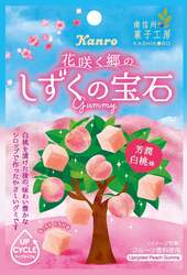 「【2026年3月】新作グミ8選！「鮭をくわえた木彫り熊」がグミに!?「デコ」れる体験型も」の写真