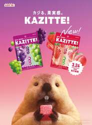 「【2026年3月】新作グミ8選！「鮭をくわえた木彫り熊」がグミに!?「デコ」れる体験型も」の写真