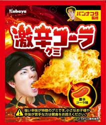 「【2026年3月】新作グミ8選！「鮭をくわえた木彫り熊」がグミに!?「デコ」れる体験型も」の写真