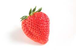 「銀座で“幻のいちご”が食べ放題！新潟でしか食せない「越後姫」が３日間限定で上陸」の写真