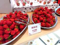 「銀座で“幻のいちご”が食べ放題！新潟でしか食せない「越後姫」が３日間限定で上陸」の写真