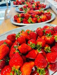 「銀座で“幻のいちご”が食べ放題！新潟でしか食せない「越後姫」が３日間限定で上陸」の写真