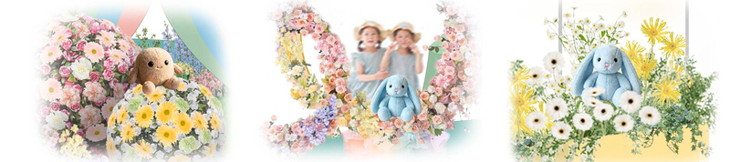 ぬい撮りフォトスポット