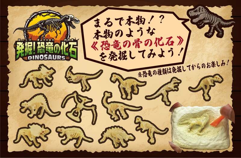 【発掘！恐竜の化石】まるで本物!?恐竜の骨の化石を発掘しよう！