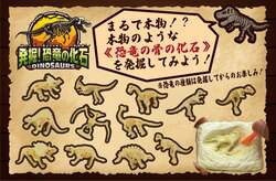 【発掘！恐竜の化石】まるで本物!?恐竜の骨の化石を発掘しよう！