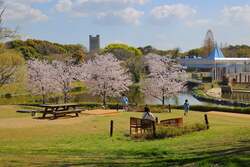 「春の豊橋総合動植物公園が熱い！3月限定で学生無料　恐竜・動物・遊園地をお得に満喫」の写真