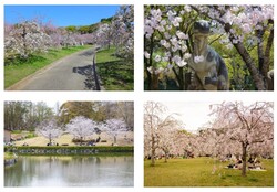 「春の豊橋総合動植物公園が熱い！3月限定で学生無料　恐竜・動物・遊園地をお得に満喫」の写真