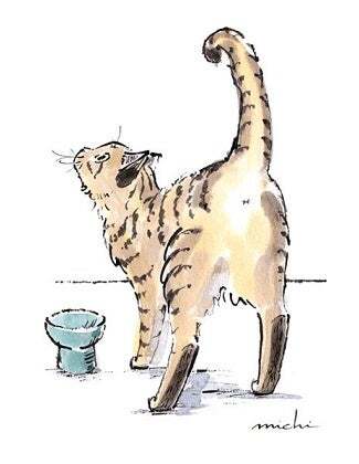 貴重な原画販売も！「Cats in the room.」