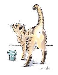 貴重な原画販売も！「Cats in the room.」