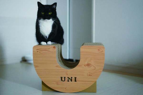 「its-lab」名入れ可能なオリジナル爪とぎ