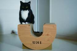 「its-lab」名入れ可能なオリジナル爪とぎ