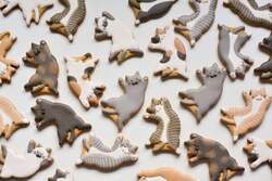 「clarifier icingcookie」猫イベント限定アイシングクッキー