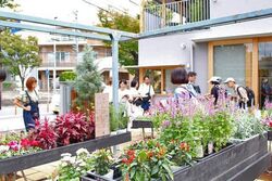 街ノ停留所 花ノマルシェ