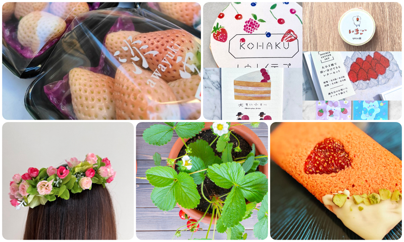 ストロベリーフェスティバル in ヒルズマルシェ