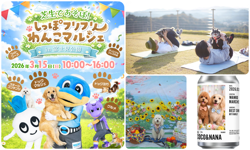 芝生であそぼ!しっぽフリフリわんこマルシェ in 富士見公園