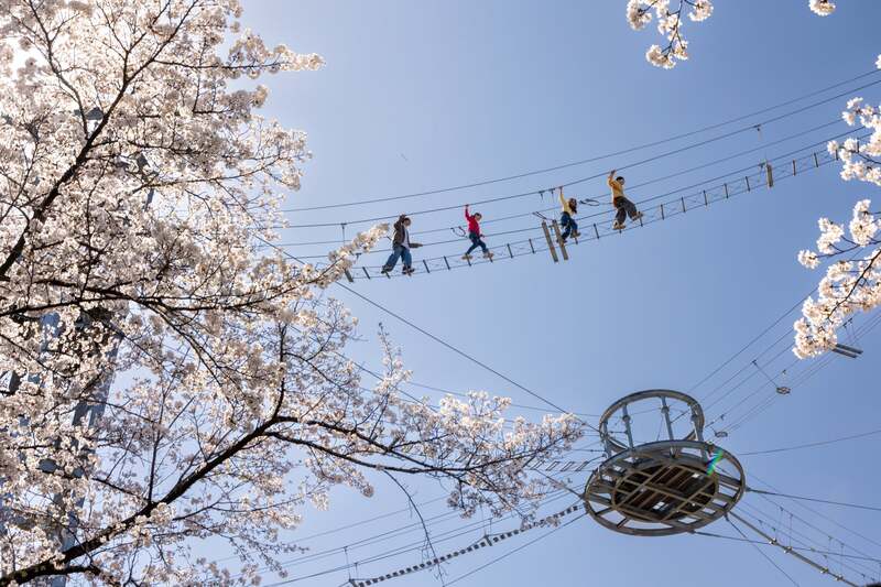 絶叫吊り橋「風天」
