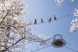 絶叫吊り橋「風天」