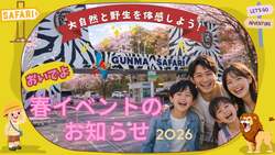 「ホワイトタイガーの双子に毎日会える！　群馬サファリパークで春休みイベント開催」の写真