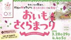 「夜空に舞う桜色ランタン！茨城で「おいも夜桜フェス」開催　入場無料のさくらまつりも」の写真