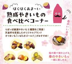 熟成やきいも食べ比べ