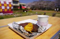 桜の葉で焼き上げる春のやきいも