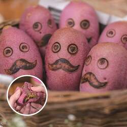 やきえもんパン