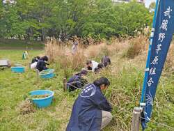 すすき原っぱとバードサンクチュアリの自然