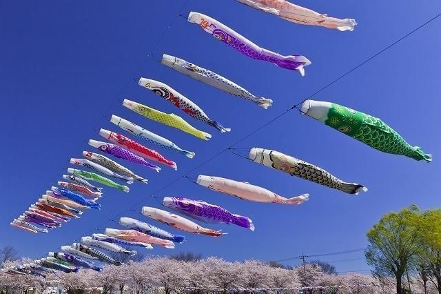 さくらとこいのぼりの里まつり