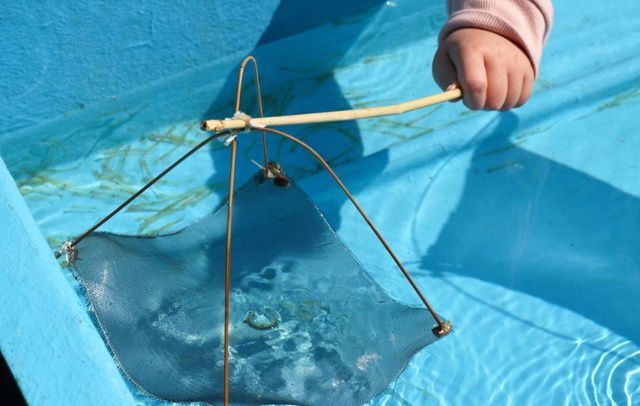 第20回 紀州湯浅のシロウオまつり