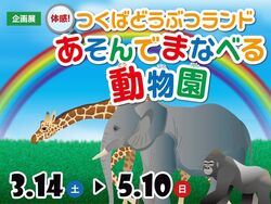 企画展「体感！つくばどうぶつランド あそんでまなべる動物園」│(c)つくばエキスポセンター