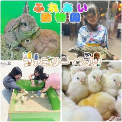 とかみDEマルシェ（ファミリーペッツ）