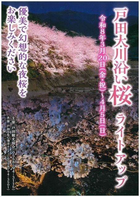 戸田大川沿い桜ライトアップ（戸田観光協会）