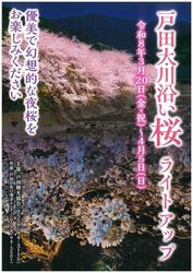 戸田大川沿い桜ライトアップ（戸田観光協会）