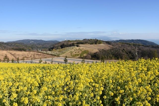 淡路花祭2026春／(C) 一般財団法人淡路島くにうみ協会