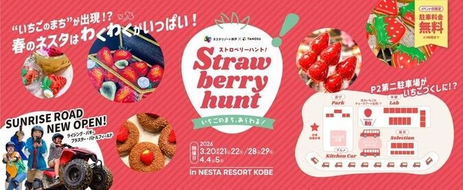 Strawberry hunt 2026