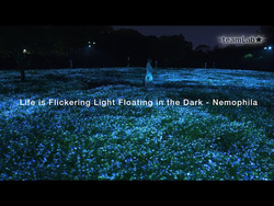 「【関西】春休みもおすすめ！2026年4月の親子向けおでかけ先＆イベントまとめ」の写真