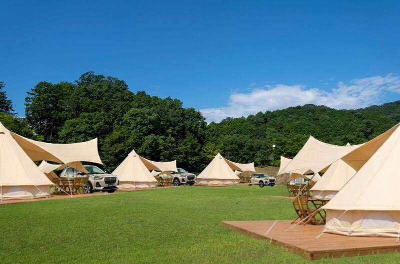 写真はイメージです