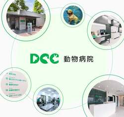 「愛犬と入場無料！180店が集結する「国内最大級のわんこ祭」が駒沢公園で3日間開催」の写真